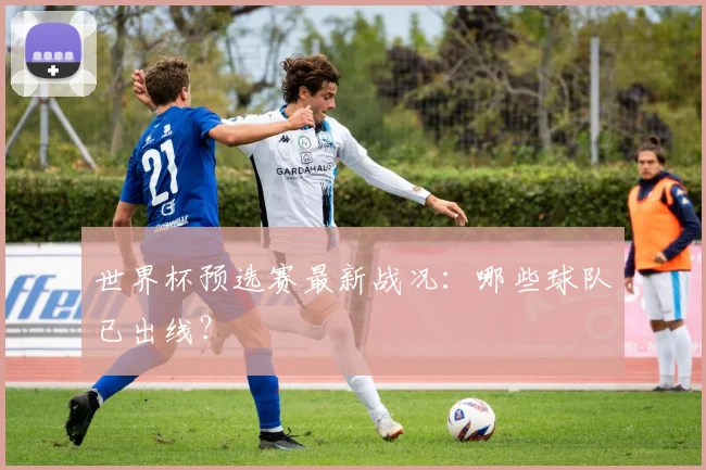 世界杯预选赛最新战况:哪些球队已出线?